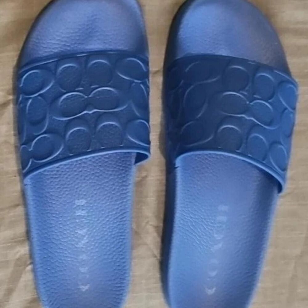 Coach Men's Blue Sandals - Picture 1 of 3